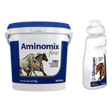 Glicopan Energy 1l + Aminomix Forte 2,5kg Para Cavalos 