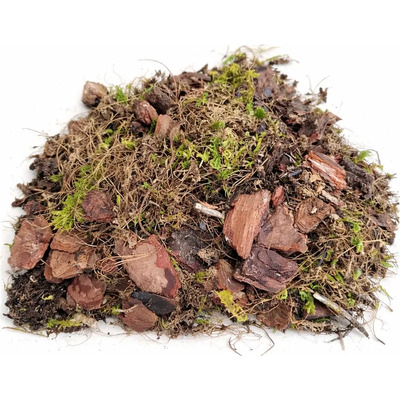 Sustrato Ideal Orquideas Corteza, Musgo Y Coco 4 Litros | Envío gratis