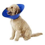 Alfie Pet - Collar De Recuperación De Cobalto (para Perros 