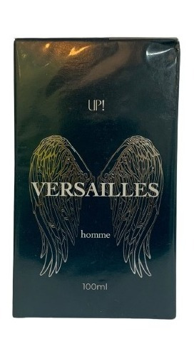 Perfume Masculino Versailles Homme Invictus - 100ml - Up