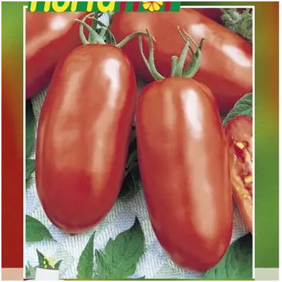 Semillas Jitomate Tipo Saladet 610 Unidades Vita Hortaflor | Meses sin interés