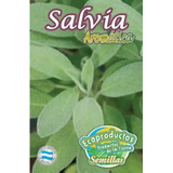 Semillas Huerta Ecoproductos Aromaticas Salvia