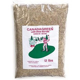 Semilla De Cesped De Hierba Verde De Canada - Bolsa De 12 