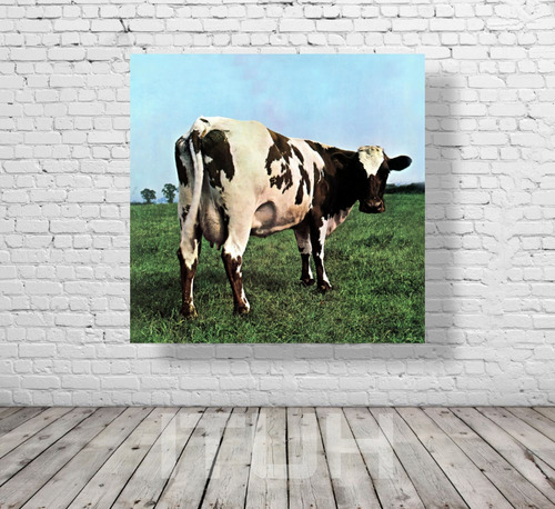 Cuadro Decorativo Pink Floyd, Atom Heart Mother