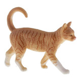 Simulação Animais De Estimação Figura Modelo Cat 2