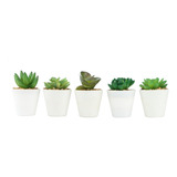 Set De 5 Plantas Suculentas Artificiales, Pequeñas Suculenta