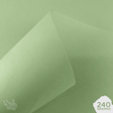 Papel Candy Plus 240g A4 Limão (verde Claro) 20 Folhas