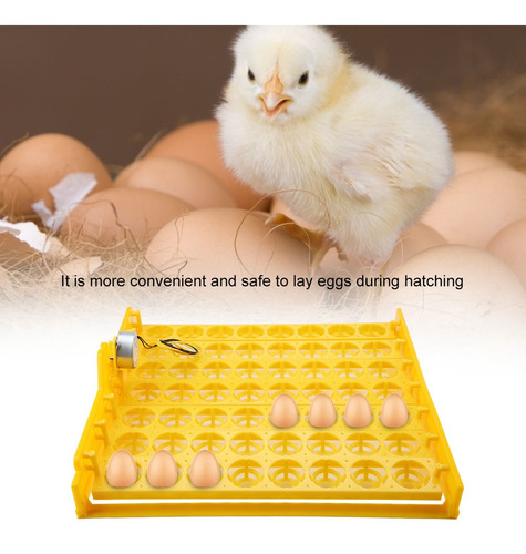 56 Huevos Mini Incubadora Nacedora Automática De Huevos