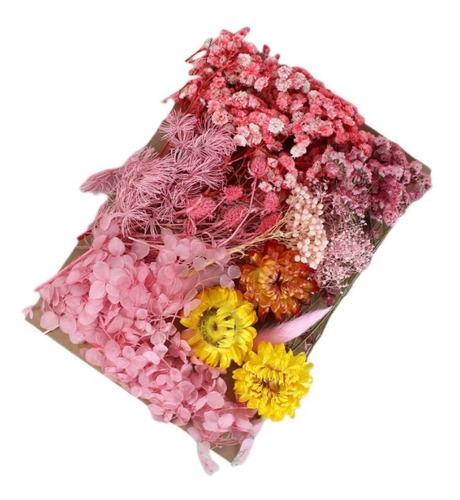 Paquete Flores Secas Naturales Prensadas Para Manualidades Color Rosa
