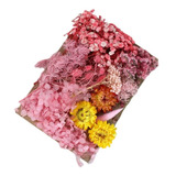 Paquete Flores Secas Naturales Prensadas Para Manualidades Color Rosa