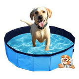 Piscina Plegable Para Perros Pequeños