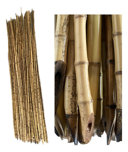 Estaca Vara De Bambu Para Planta 1,90m X 2 Ø X 15 Un 