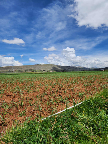 Terreno En Venta En Sicaya - 28717 M2 - Imagen 3