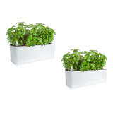 Growled Pack 2 X Macetero Autorregante Planter 40 Cms 