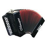 Acordeon 8 Baixos 21 Botões Minuano 8/21  ( Gaita De Botão )