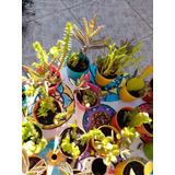 Mini Plantas Suculentas Y Cactus, Para Souvenirs O Regalar