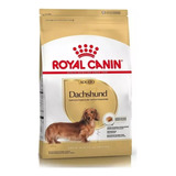 Alimento Royalcanin Perro Adult Dachshund Salchicha 3kg