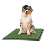 Alfombra De Baño De Césped Artificial Para Cachorros Y Masco