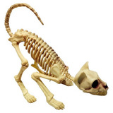 Mascara Halloween Cosas Accesorios Decoración Esqueleto Gato