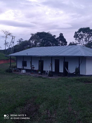 Vendo Hermosa Finca En Ibague - Imagen 3