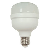 Lampara Led High Power Alta Potencia Galponera 20w Luz Fria