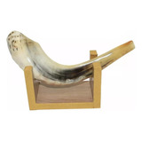 Shofar Chifre De Carneiro De Tocar Ou Ungir/unção + Suporte - Original De Israel