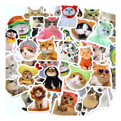 100 Piezas Pegatinas Y Calcomanías De Gatos Memes Divertidas | Envío gratis