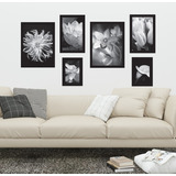 Cuadros Con Imágenes De Flores B-n, 30x40, 20x30 Y 13x18