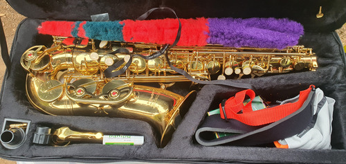 Saxofón Alto Etinger Con Estuche