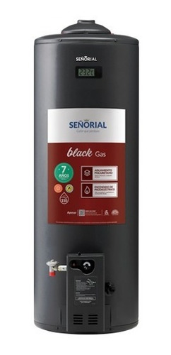 Termotanque A Gas Señorial Black 2.0 Carga Superior 110l Cts