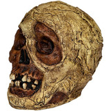 Decorativo De Craneo De Momia Mummy Skull Halloween Fiesta