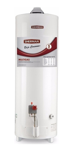 Termotanque Sherman 80lts Gas Tpgp80 De Pie