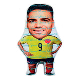 Cojin Falcao Colombia 40 X 24 Cms