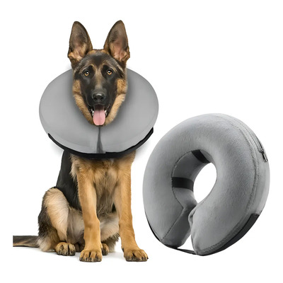 Collar Isabelino Para Perro O Gato Mascretta Dona Isabelina Color Gris Tamaño Del Collar Xl | Meses sin interés