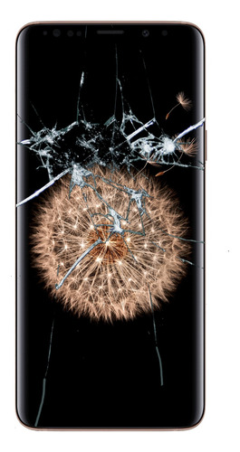 Cambio Vidrio Pantalla Glass Samsung S8+ En El Dia Servicio Tecnico Reparaciones