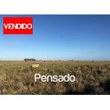 Campo 309 H En Venta Ganadero / Vendido