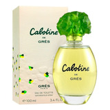 Cabotine 100ml Edt         Silk Perfumes