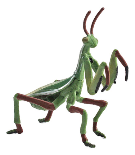 Modelos De Insectos Realistas Juguetes De El 10x8.5cm