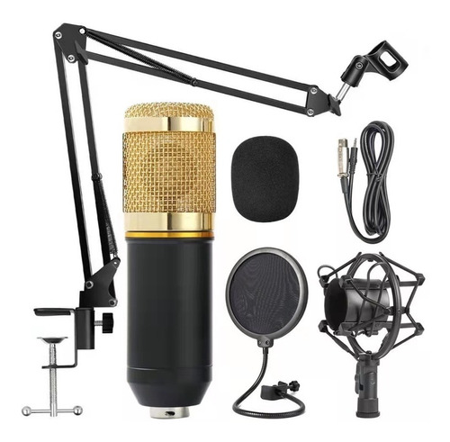 Microfone Estúdio Bm800. + Pop Filter + Aranha + Braço Articu No2