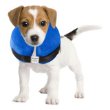 Bencmate Collar Inflable Protector Para Perros Y Gatos  Coll