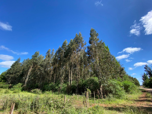 Terreno Forestal\ Reserva Lima\ Salto Del Laja\ Los Angeles