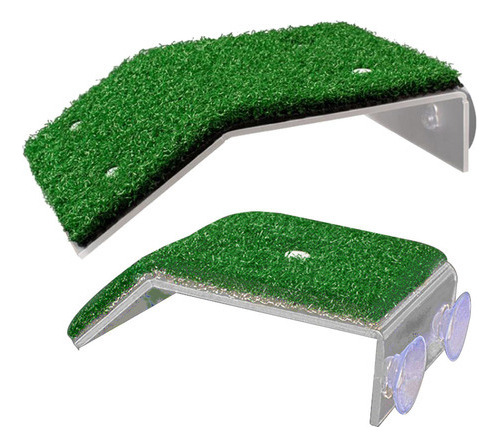 Zona Para Tomar El Sol Con Forma De Tortuga Reptile Moss, 2