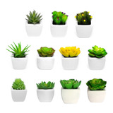 Set De 10 Mini Plantitas Suculentas Artificiales (a Elegir)