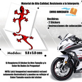 Par Calcomania Sticker Lagartija Mayoreo Efx Moto Ss
