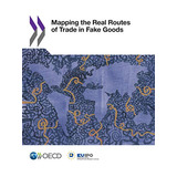 Livro Mapping The Real Routes Of Trade In Fake Goods De Euip