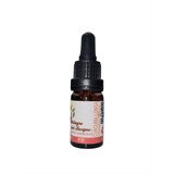 Aceite Curcuma Longa Organico (esencial) 10 Ml 100% Puro