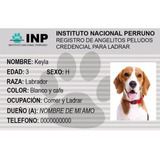 Credencial Y Carnet Para Mascotas