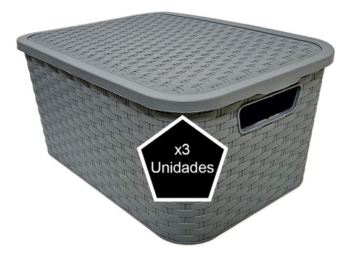 X3 Caja Organizadora Ropa Juguetes Rattan Tamaño Mediano 