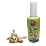 Erva Do Gato Catnip Em Spray 100ml Catdog - 1 Unidade