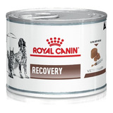 Lata Royal Canin Recovery Perro 195gr - Caja X 12 Unidades